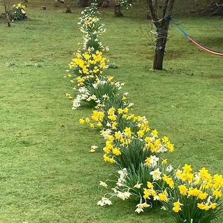 The Smithy * Richmond (North Yorkshire)