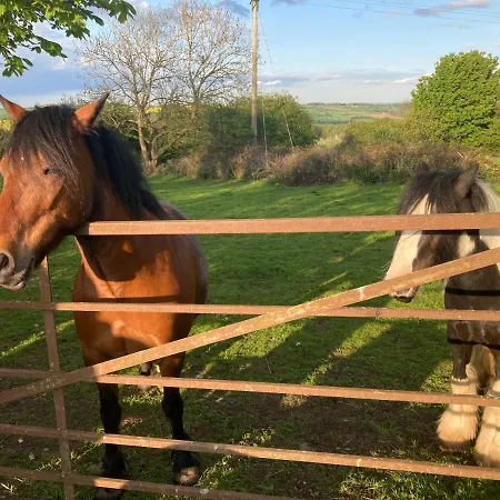 Vakantiehuis The Smithy Richmond (North Yorkshire)