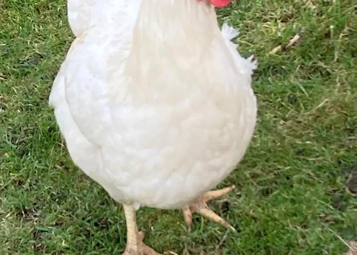 The Smithy Richmond (North Yorkshire)